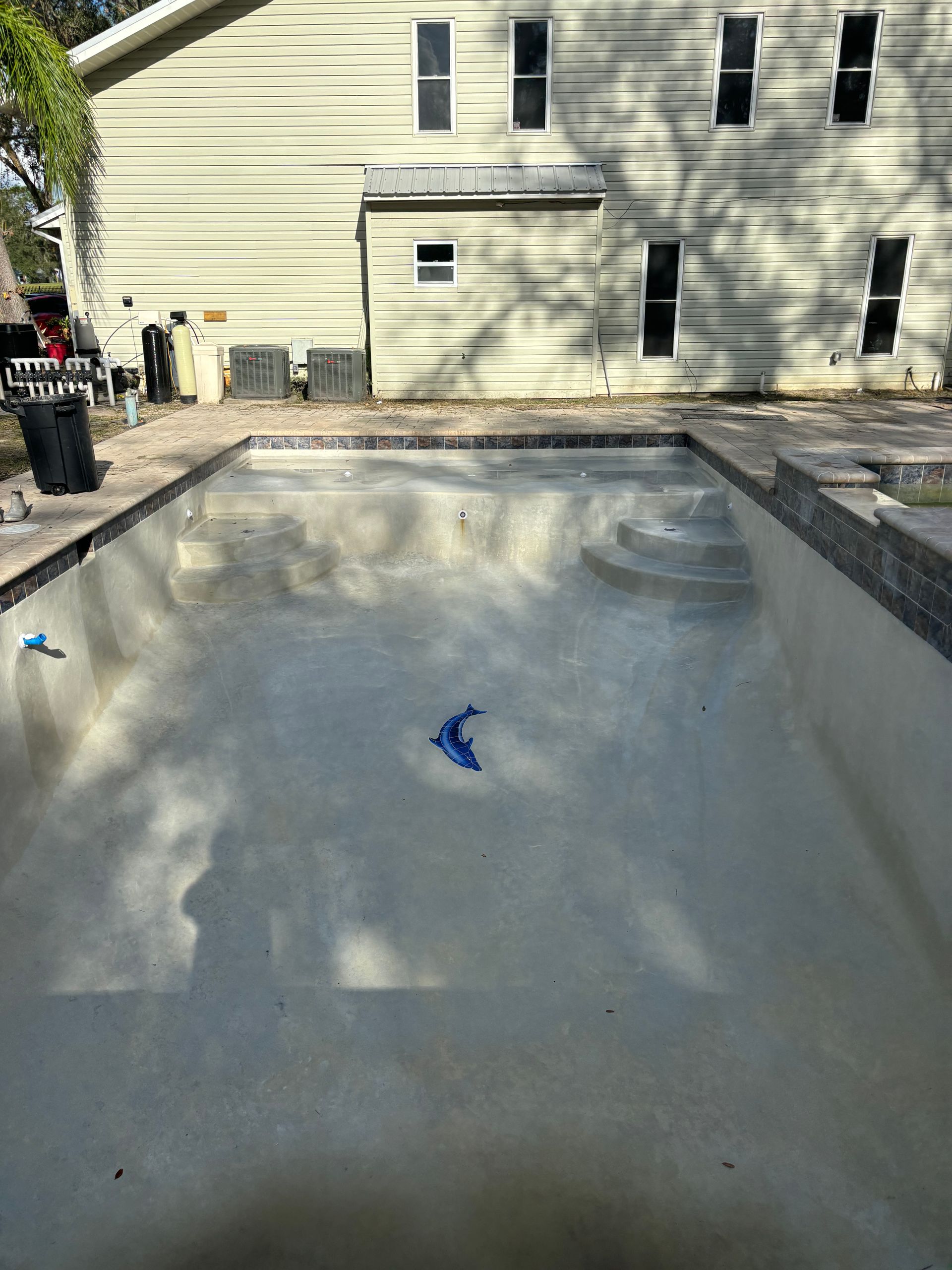 An empty, light-colored rectangular swimming pool with built-in stairs, featuring a small blue dolphin toy on the floor.