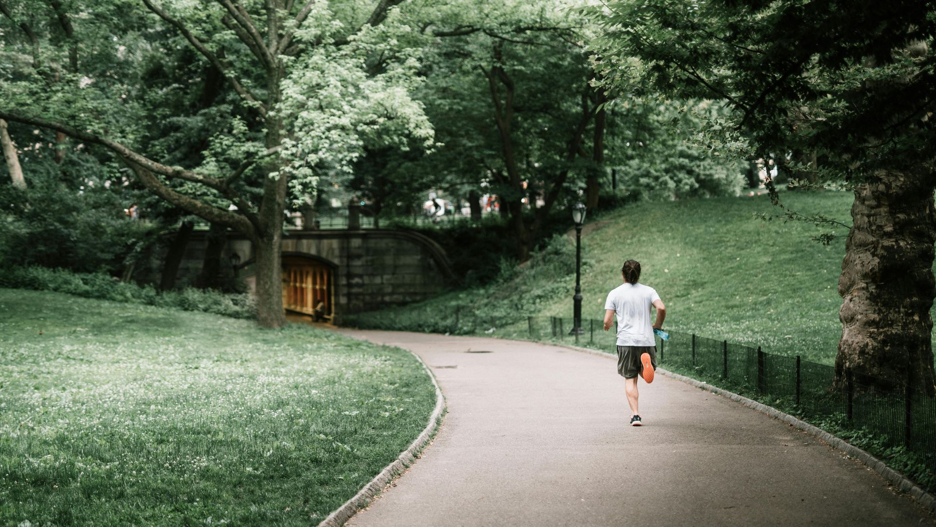 Person running on a curved path in a park, surrounded by trees and greenery.
