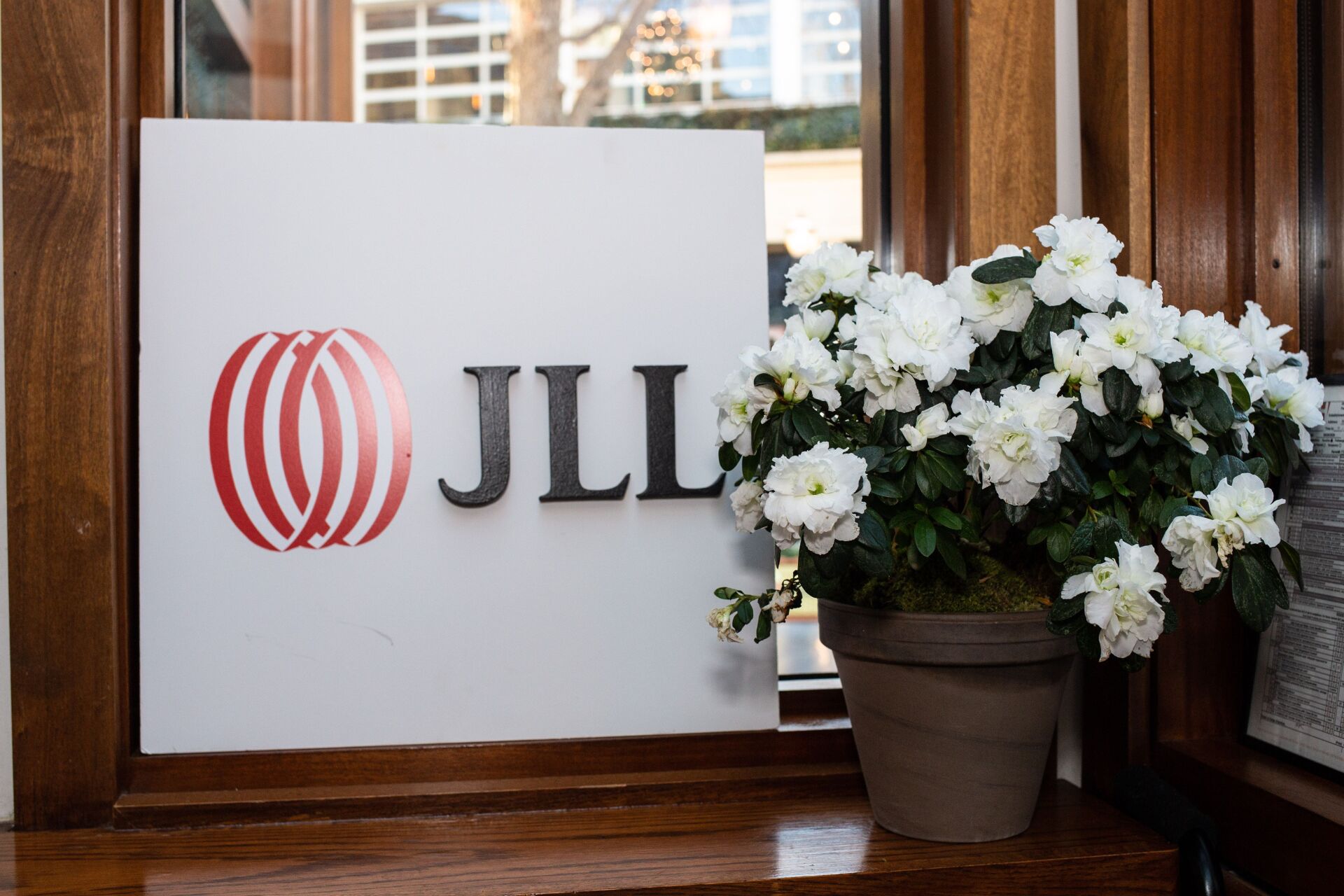 A potted plant sits next to a sign that says jll