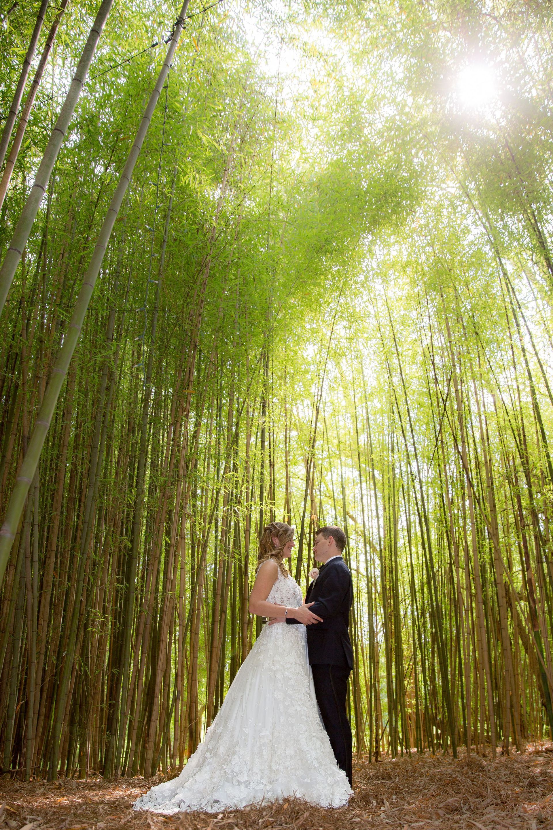 A bride and groom are standing in the middle of a bamboo forest.