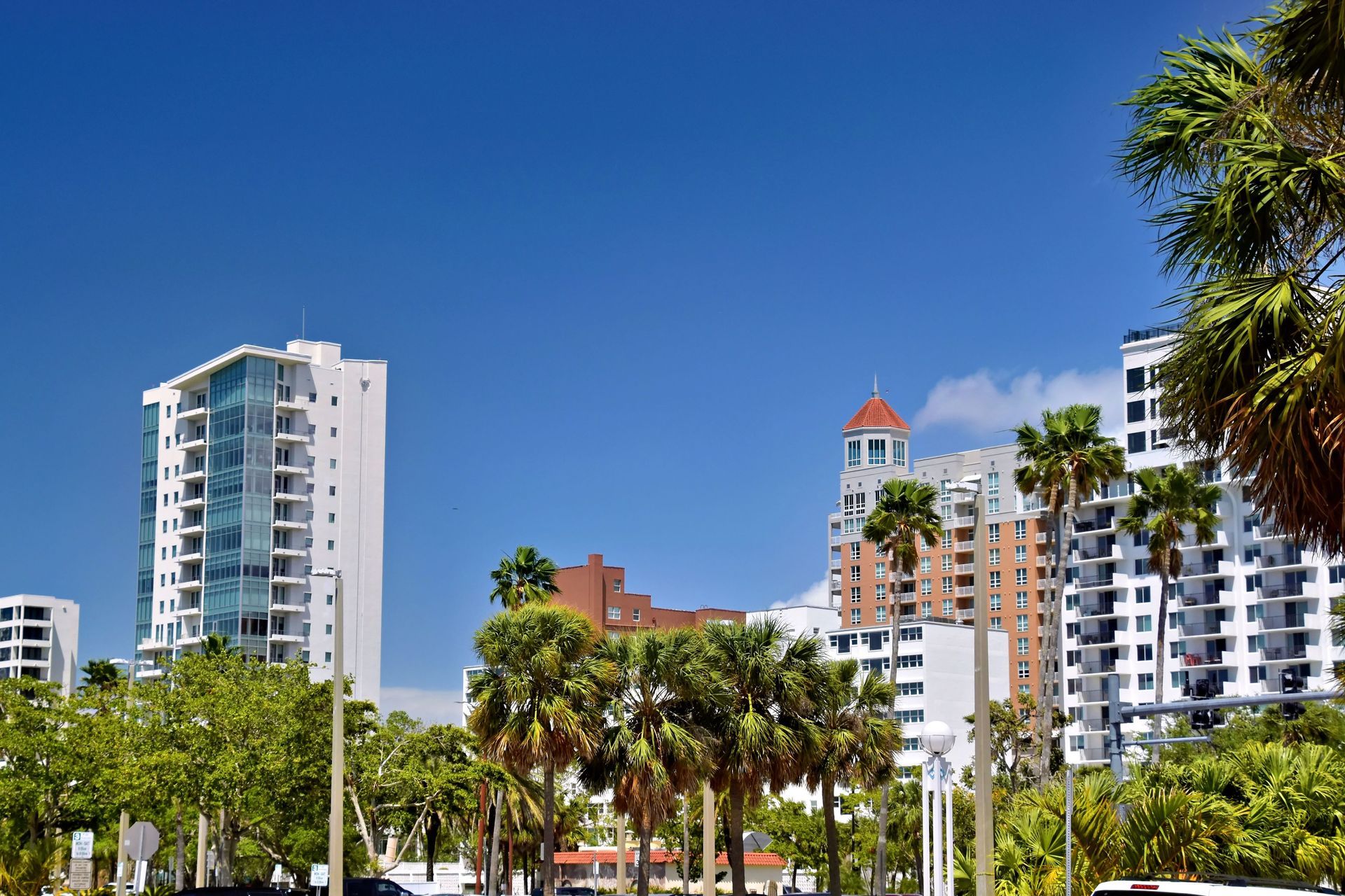 City skyline with palm trees and tall white buildings under a clear blue sky