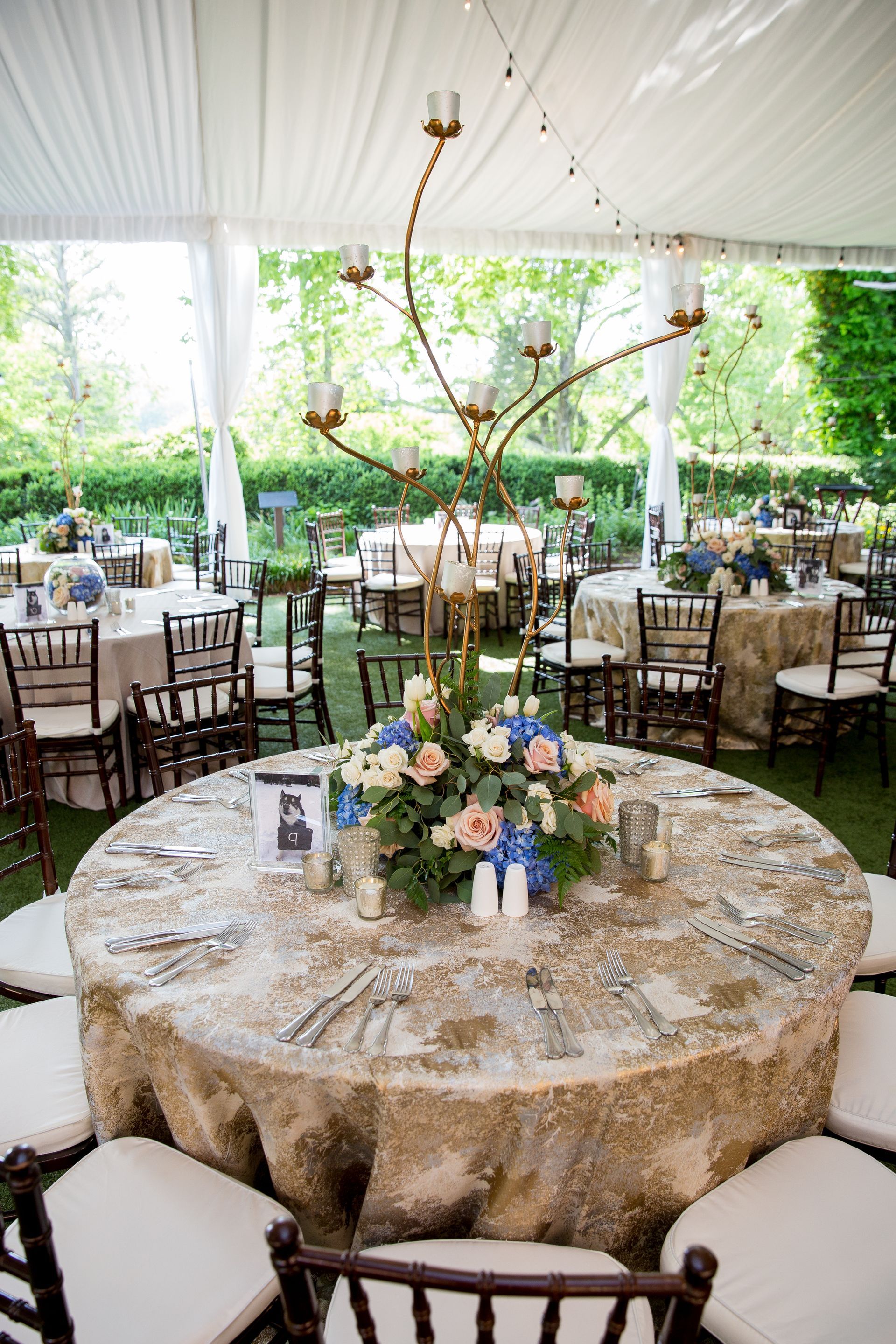 A table set for a wedding reception under a tent with a centerpiece of flowers and candles.