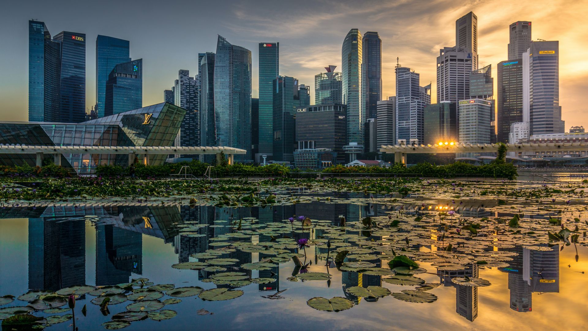Ideate Software at Build Tech Asia
