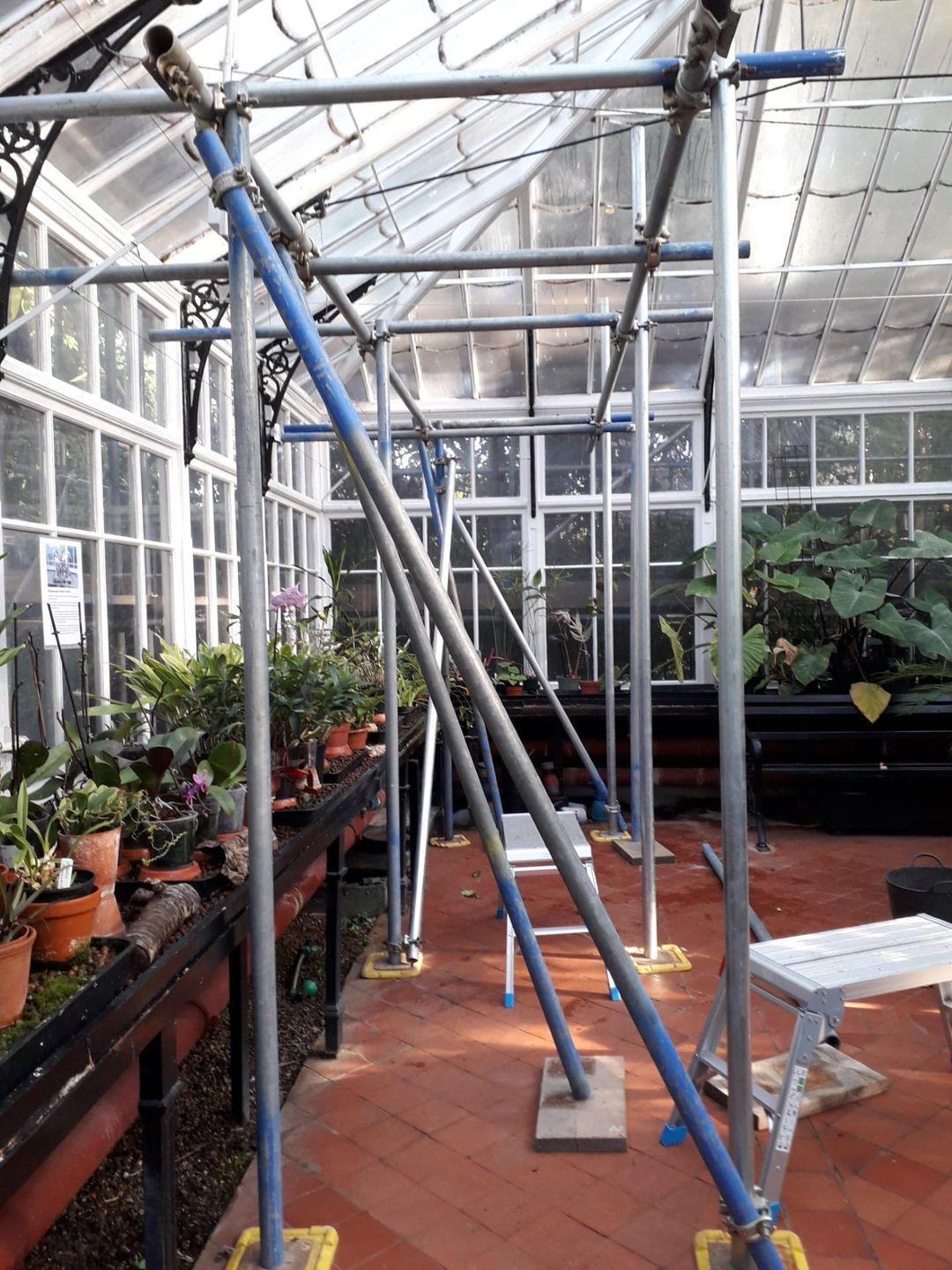 A greenhouse filled with lots of potted plants and scaffolding