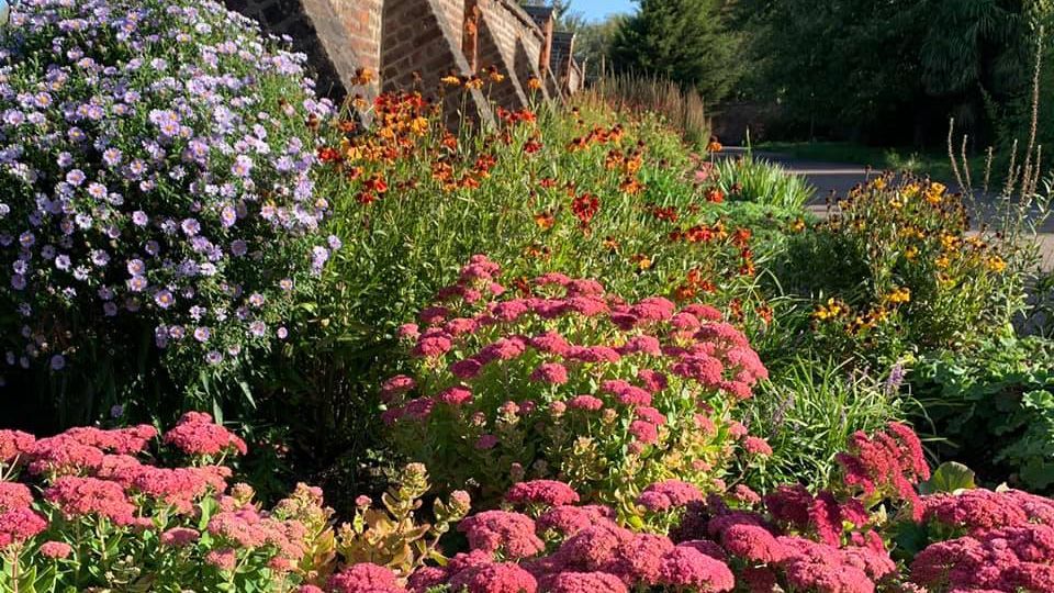 There are many different types of flowers in this garden.