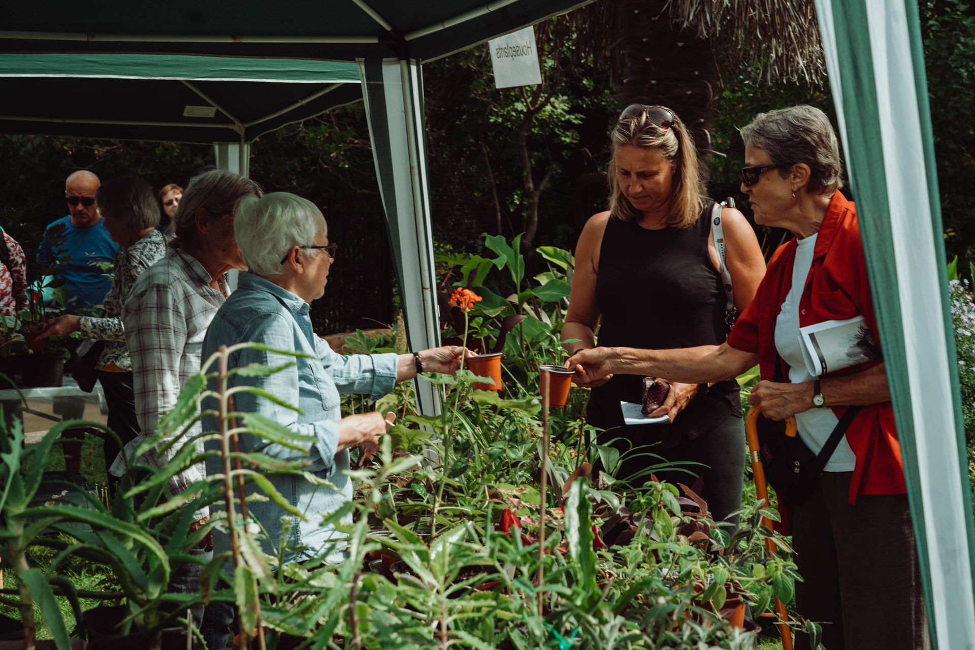 A group of people are standing around a tent looking at plants.