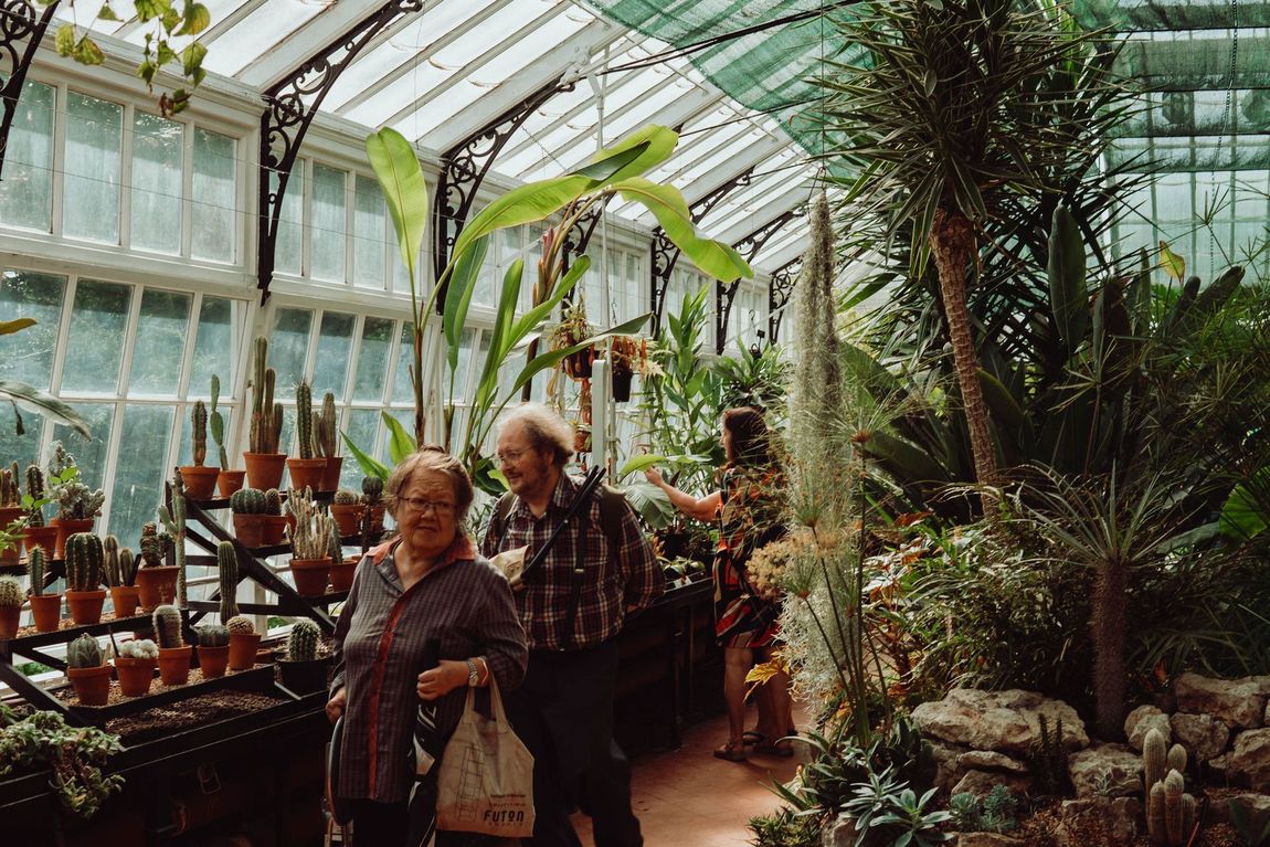 People browsing plants inside a bright greenhouse with glass walls and hanging tropical foliage