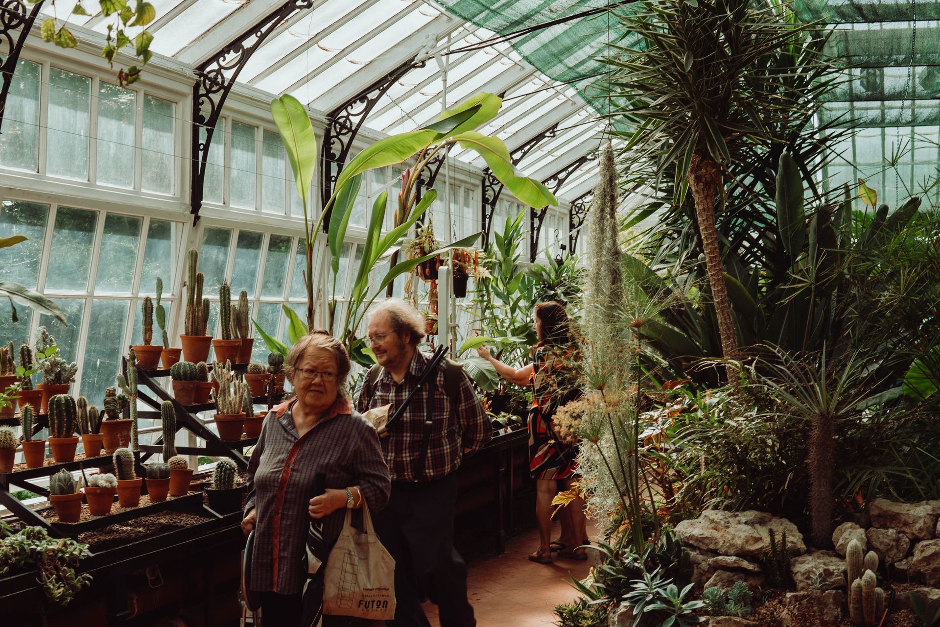 A man and a woman are walking through a greenhouse filled with lots of potted plants.
