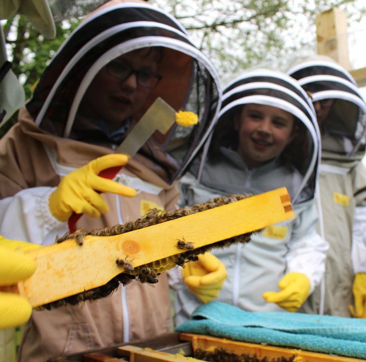 A group of people wearing bee suits and yellow gloves are working on a beehive