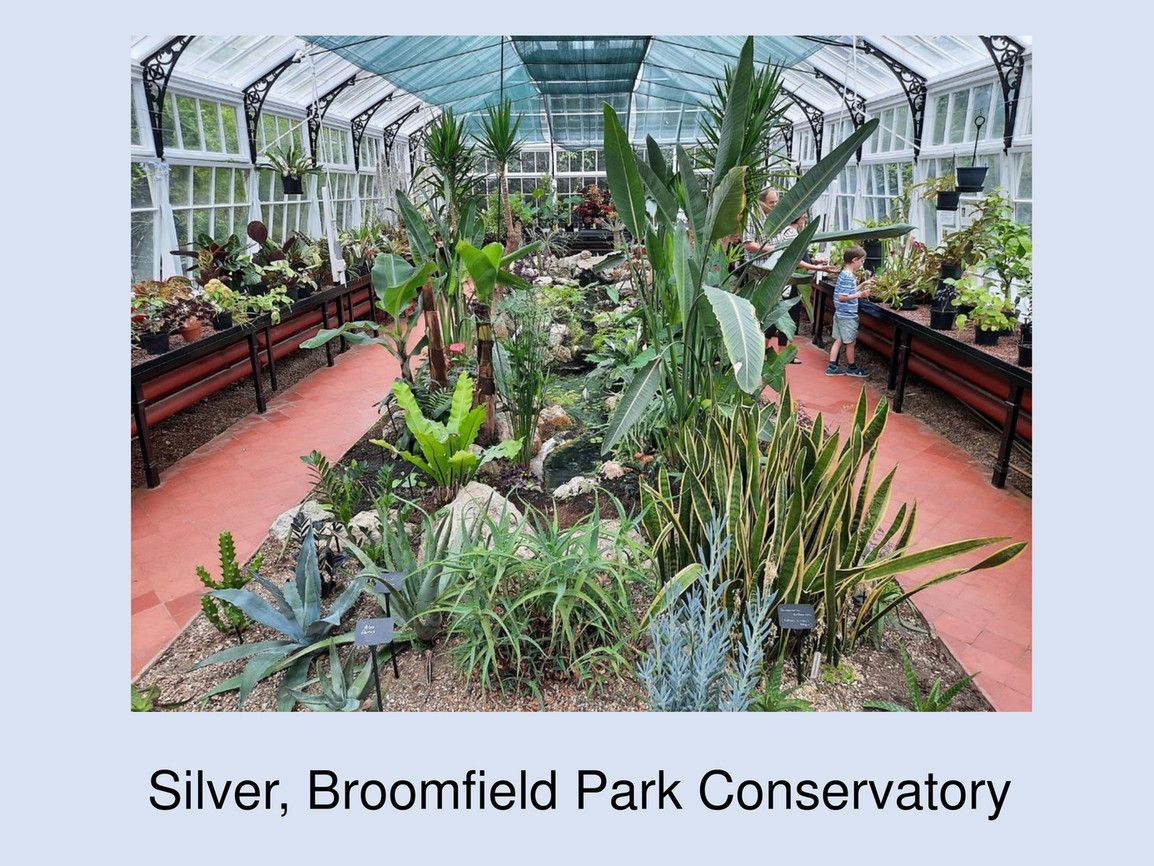 A picture of a greenhouse filled with lots of plants.