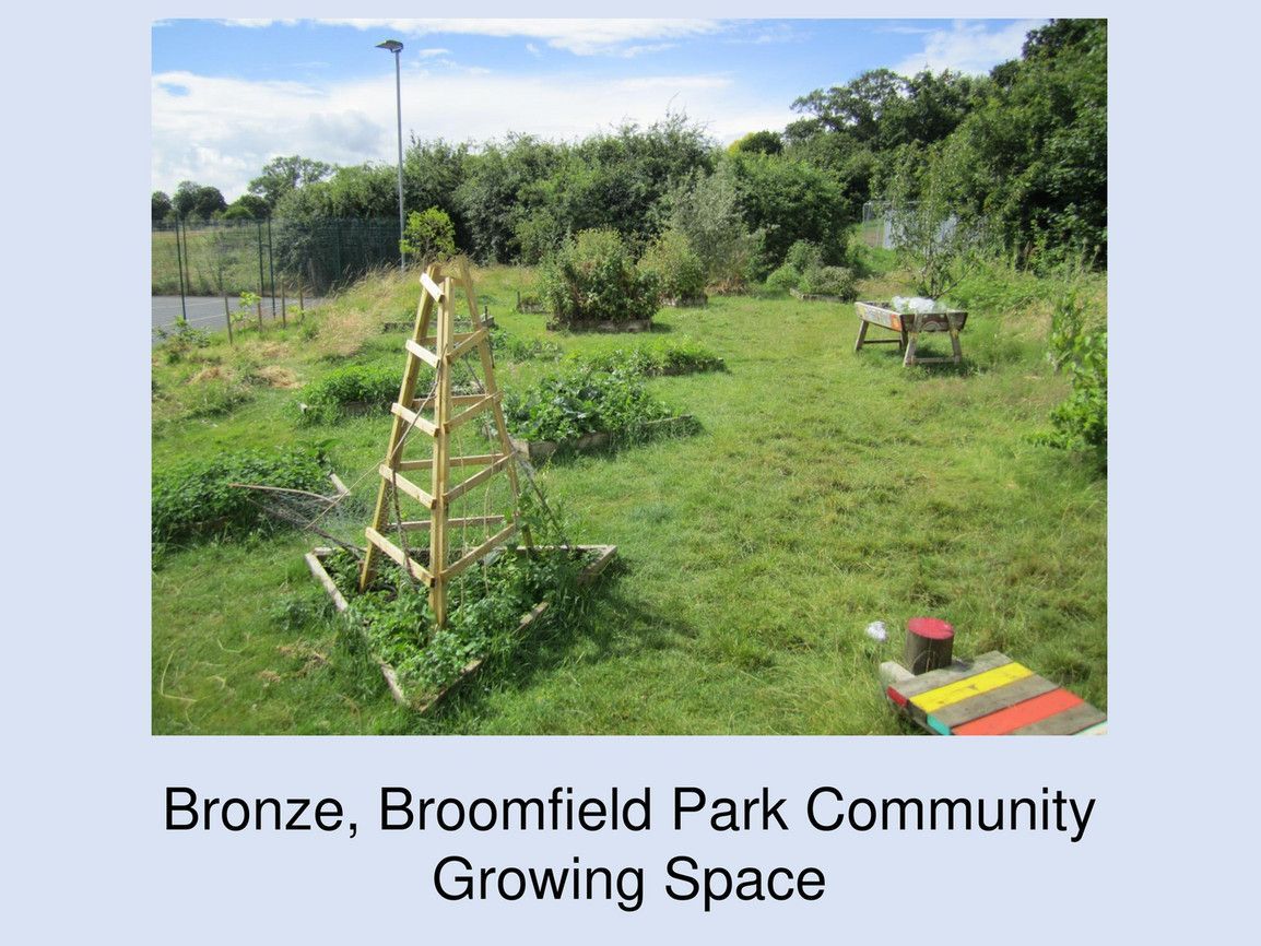 A picture of the bronze broomfield park community growing space