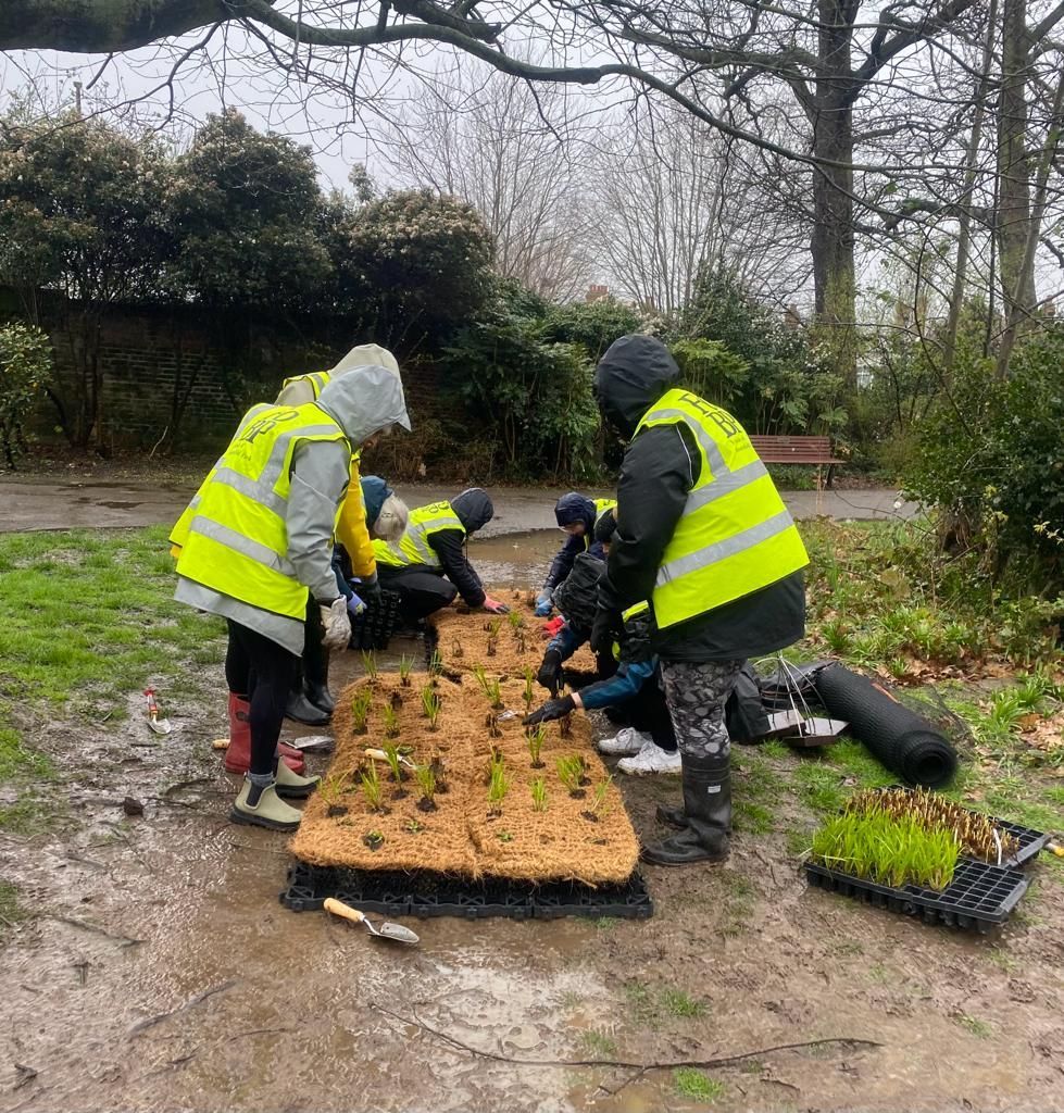 A group of people are planting plants in a park.