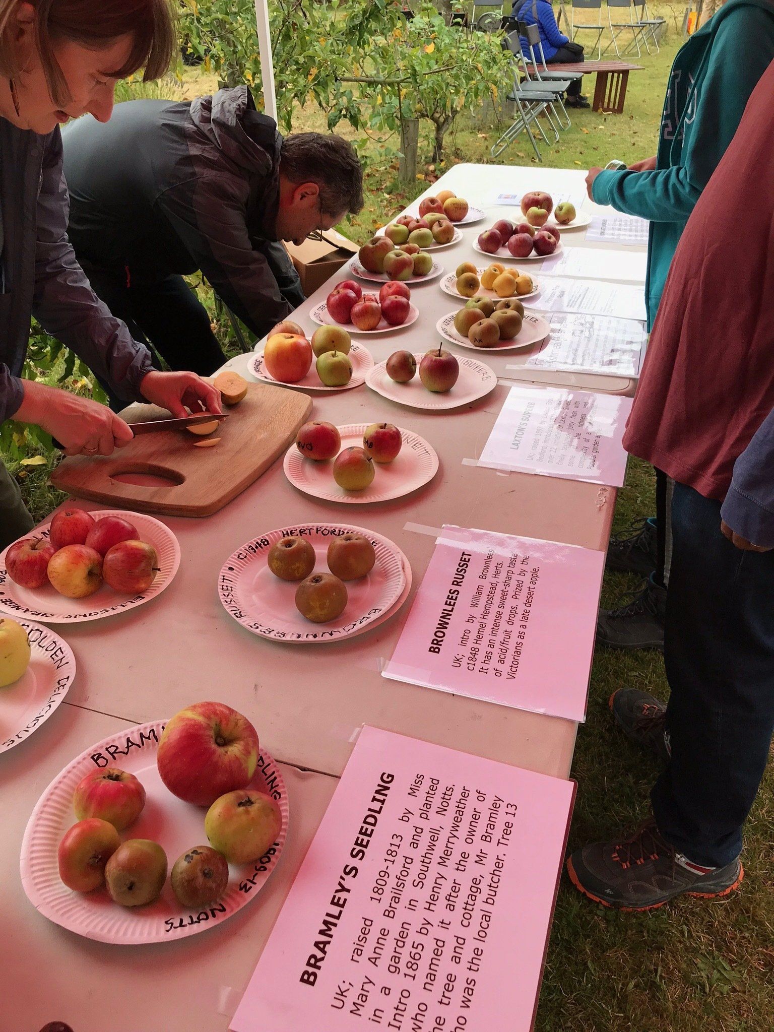 A group of people are standing around a table with plates of apples on it.