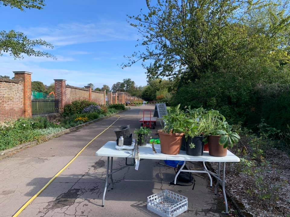 A table with potted plants on it is sitting on the side of a road.