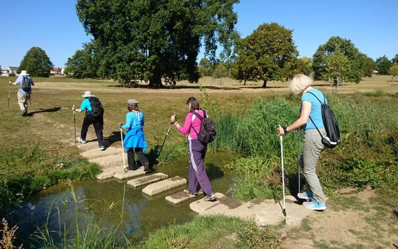 Hikers crossing stepping stones over a small stream in a sunny park meadow