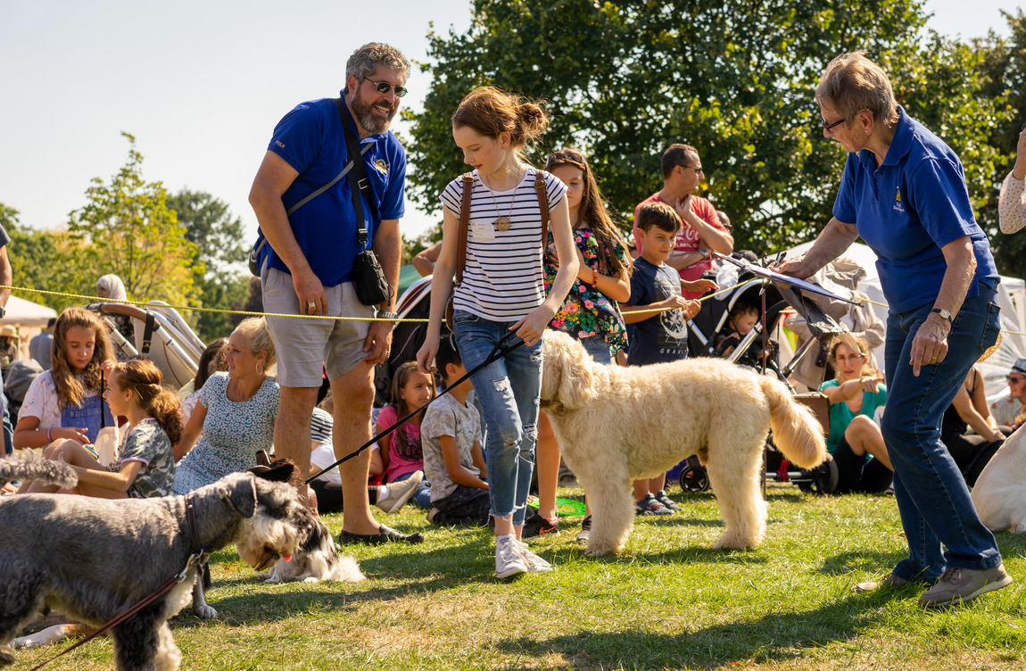 People and dogs gathered on a sunny lawn, with handlers interacting with the dogs.
