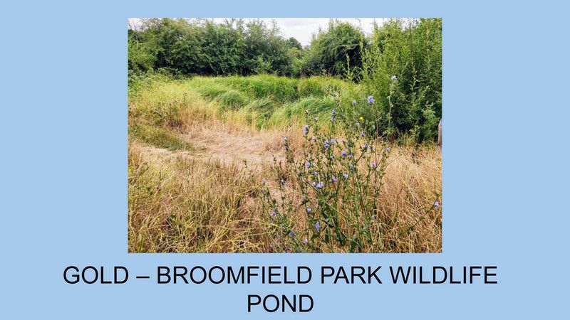 Enfield in Bloom Awards 2025 images of Broomfield Park projects