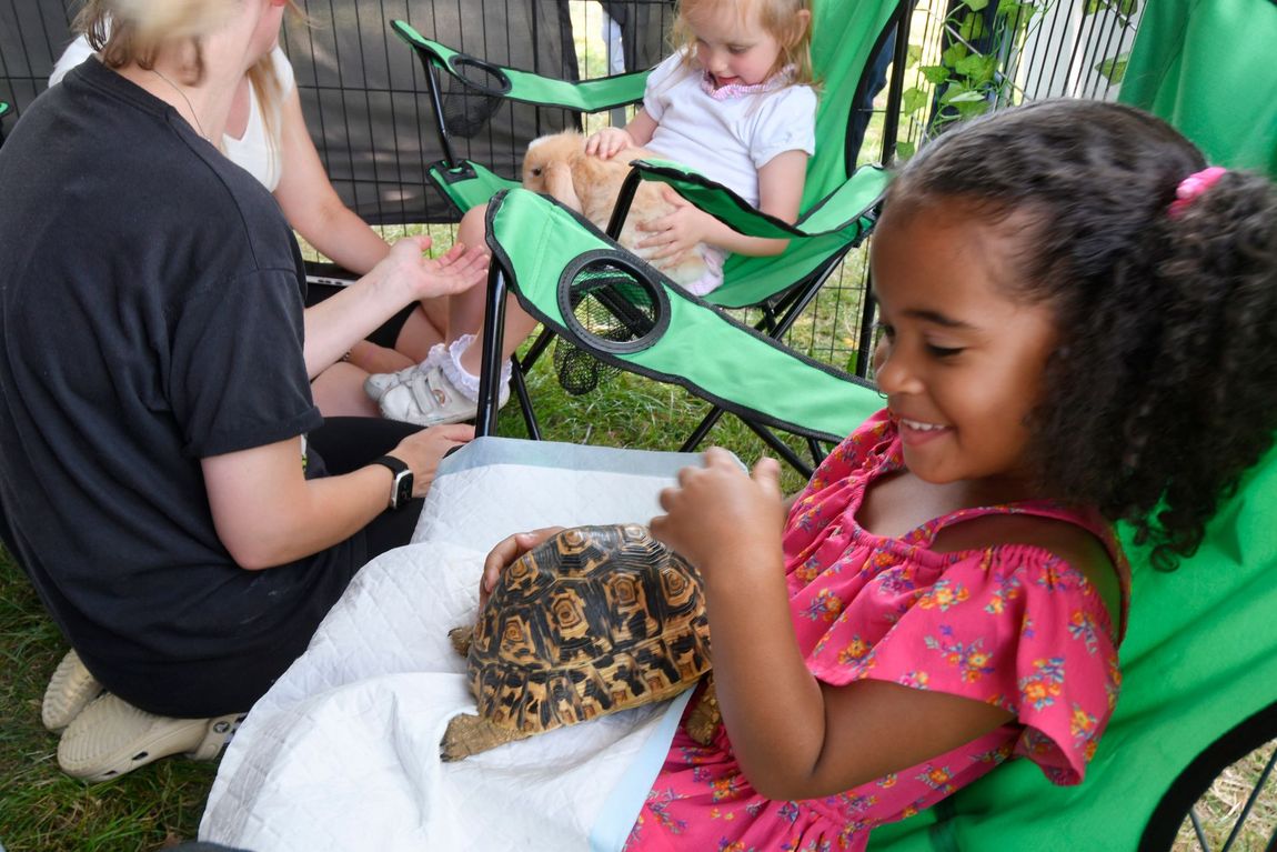 People sitting in folding chairs outdoors, with a smiling child holding a tortoise on her lap