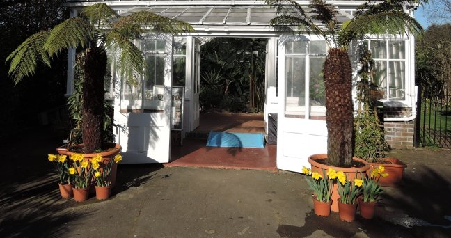 Broomfield Park conservatory