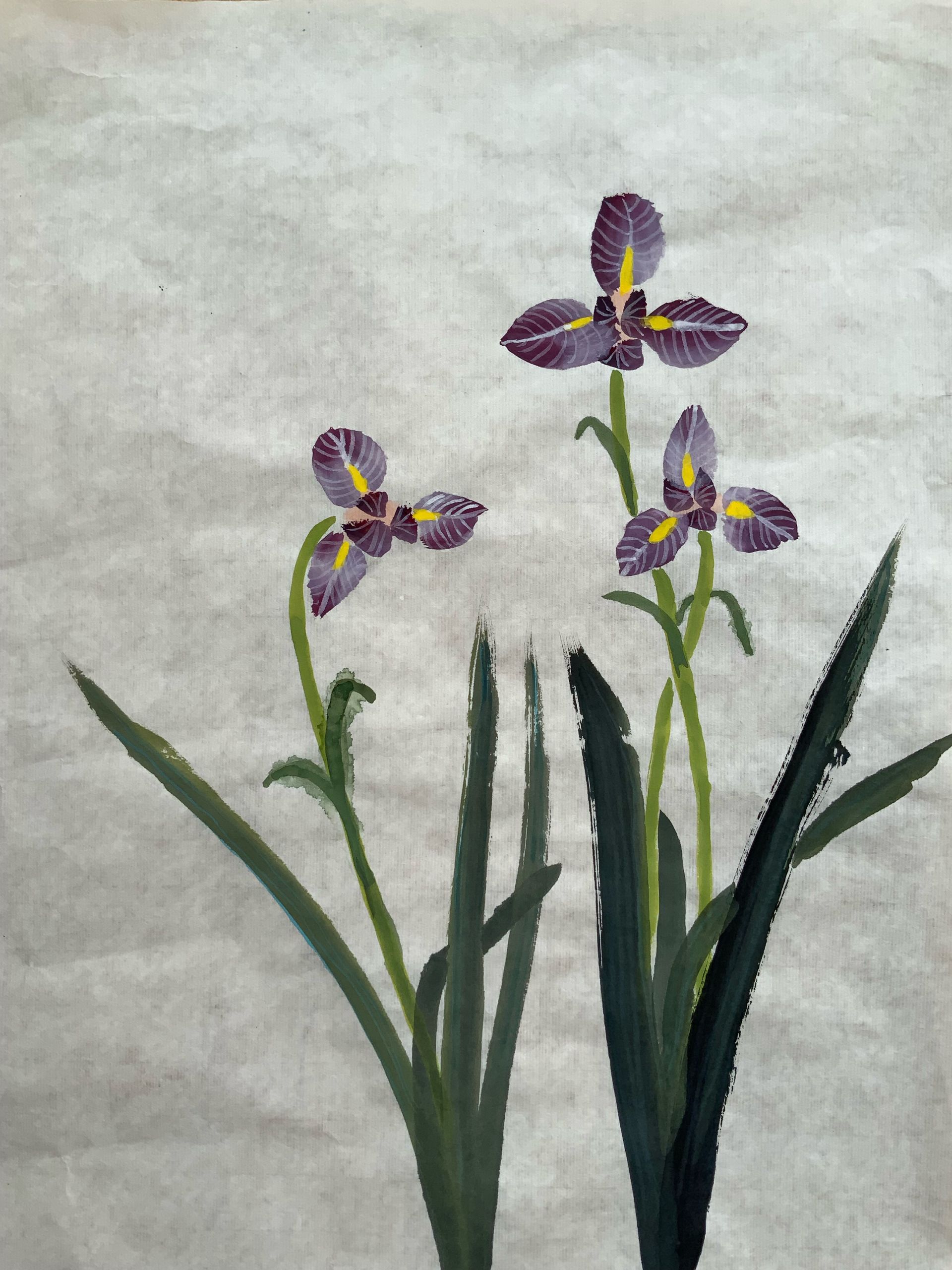 Purple orchids with long green leaves against a light gray background