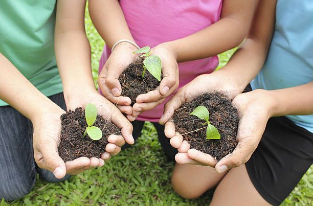 A group of children are holding small plants in their hands.