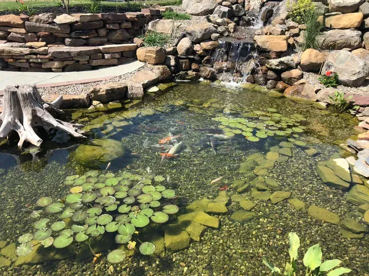 hardscape