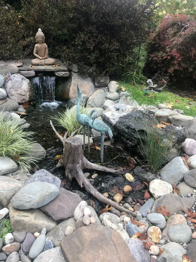 beautiful pond