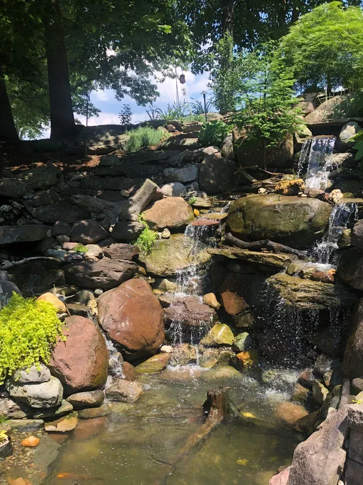 pond