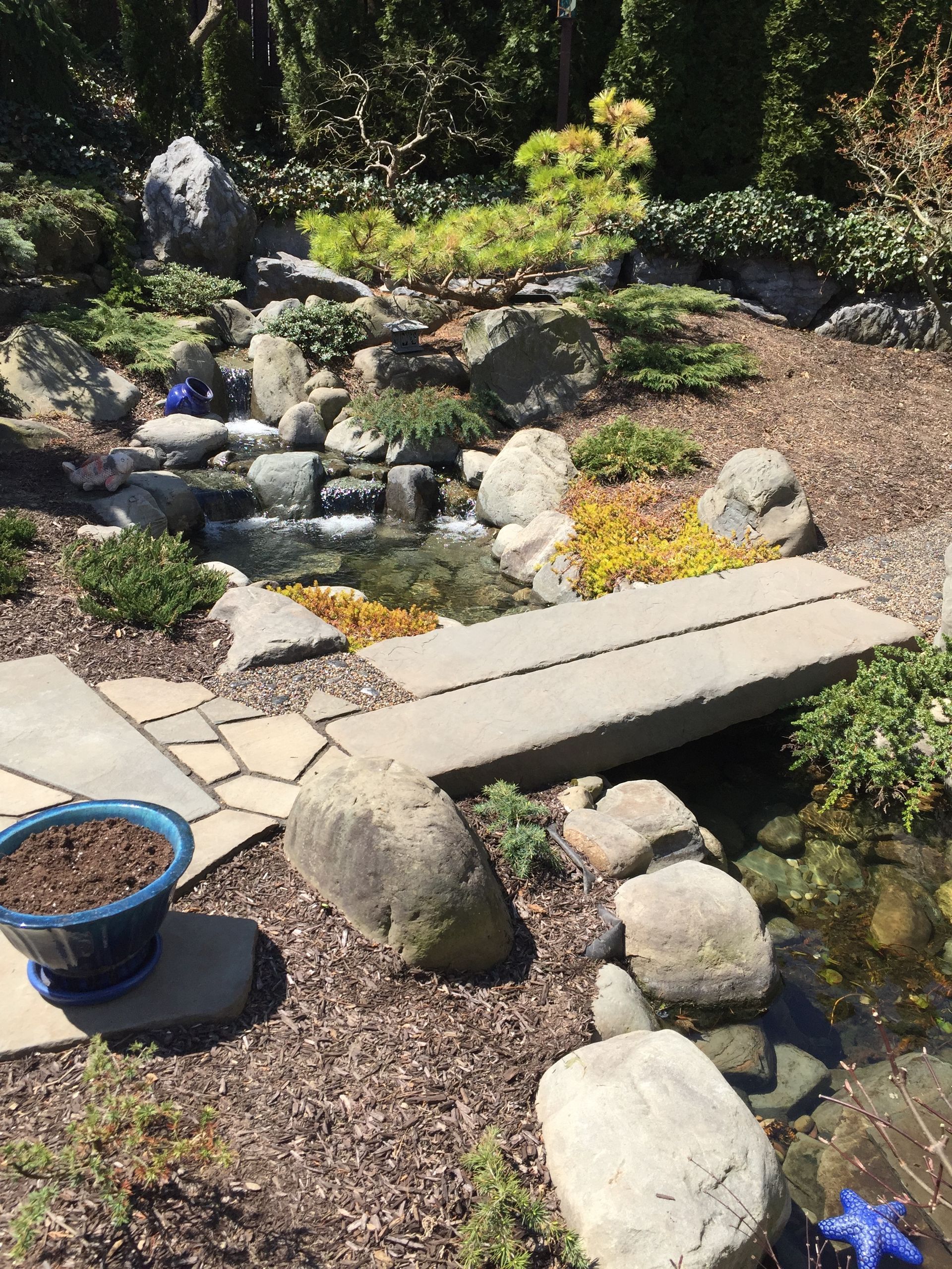 pond