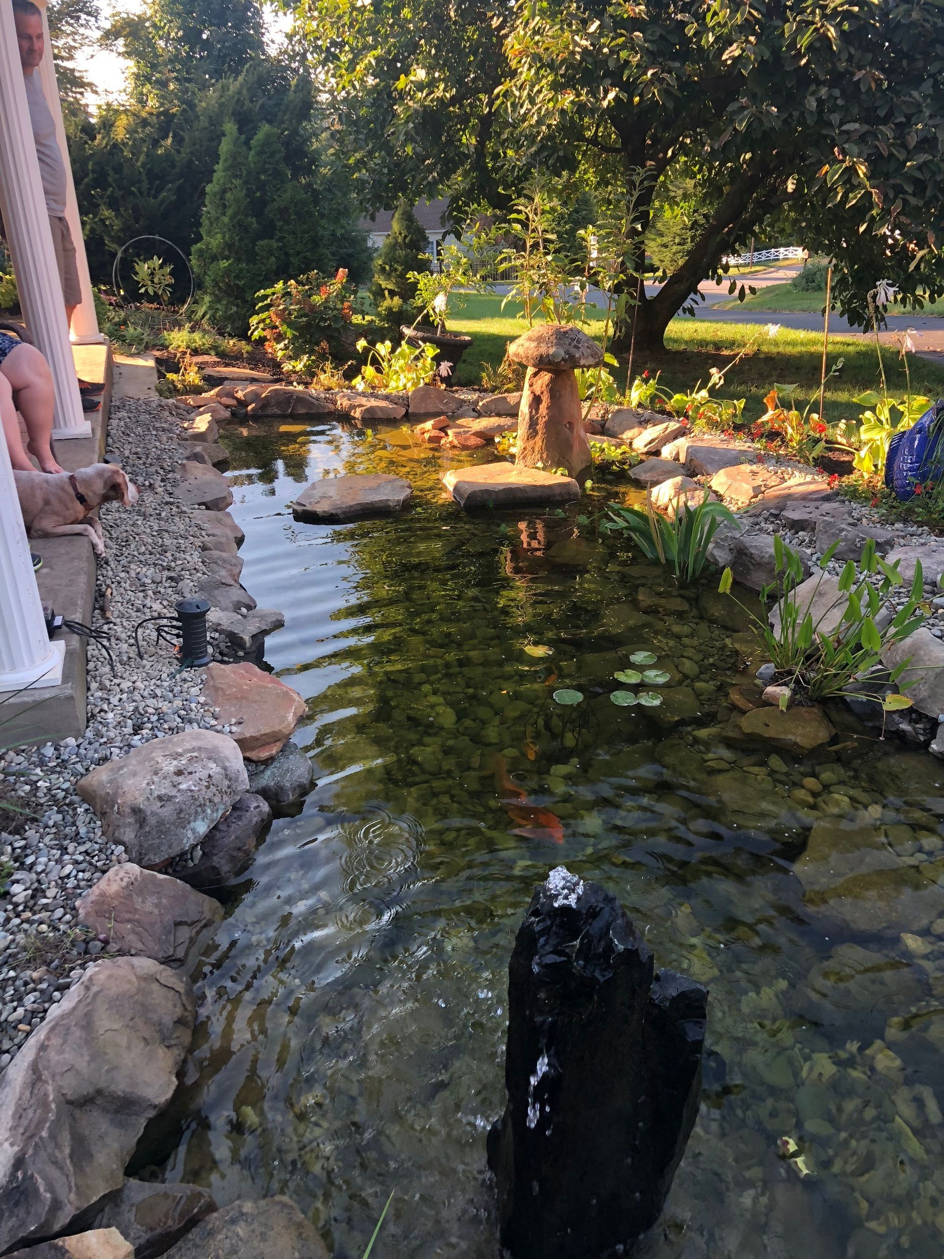 lighting in ponds