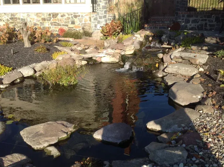 pond