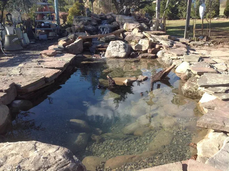 beautiful pond