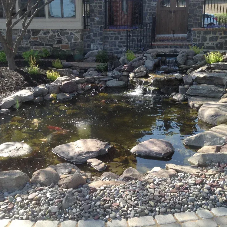 pond