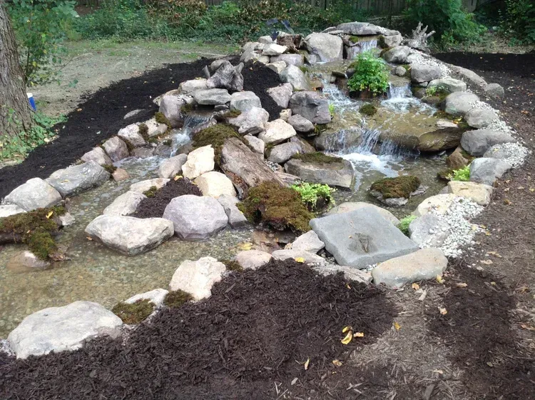 beautiful pond