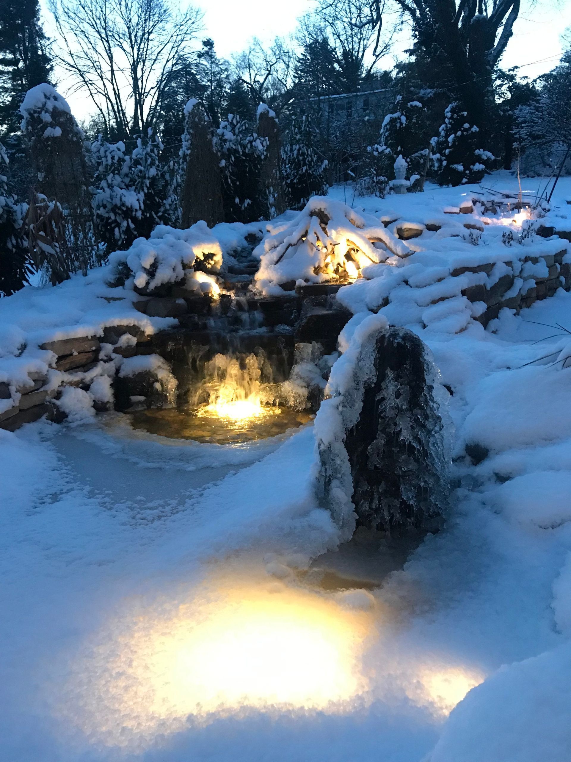 lighting in ponds