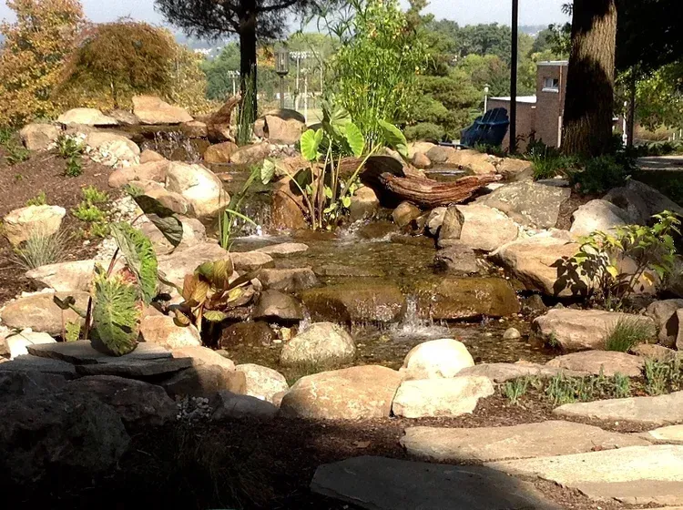 pond