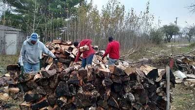Firewood  Log 2