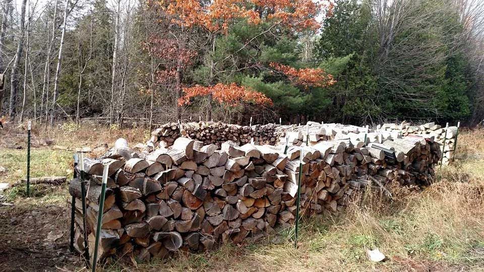 Firewood  Log 3
