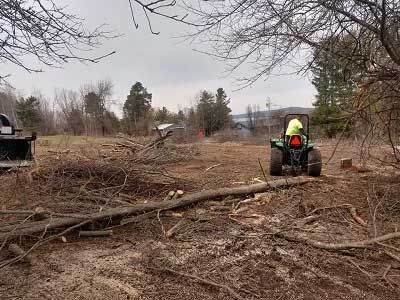 tractor clearing fallen branches