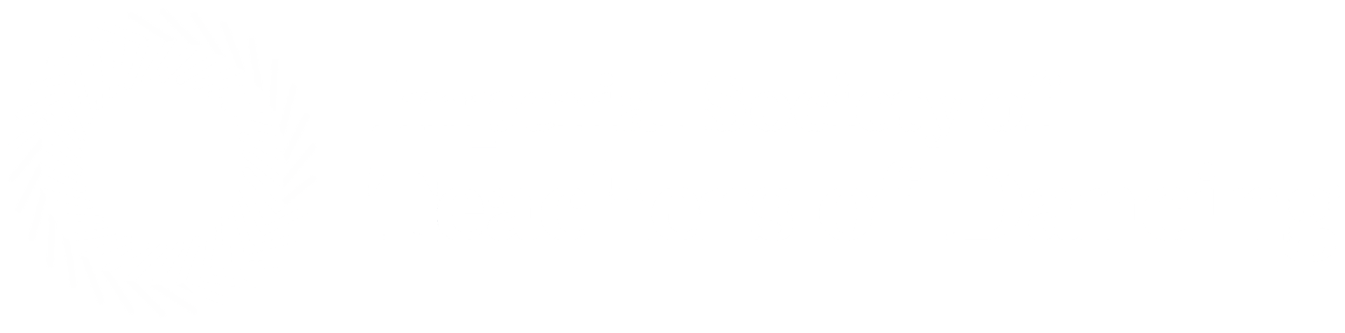 a white background with a few lines on it