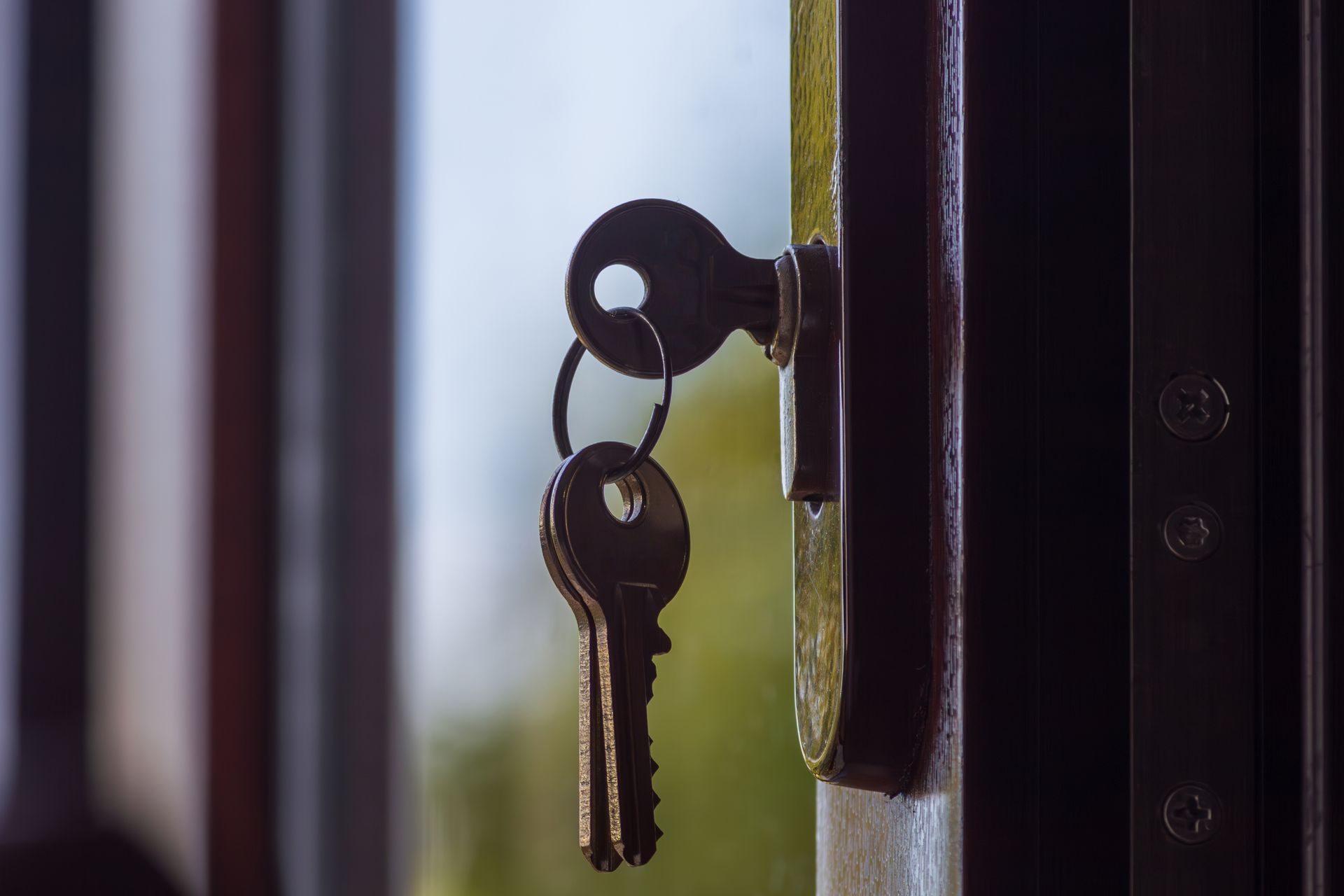 Keys in a lock on a dark brown door, blurred background of a window and foliage.