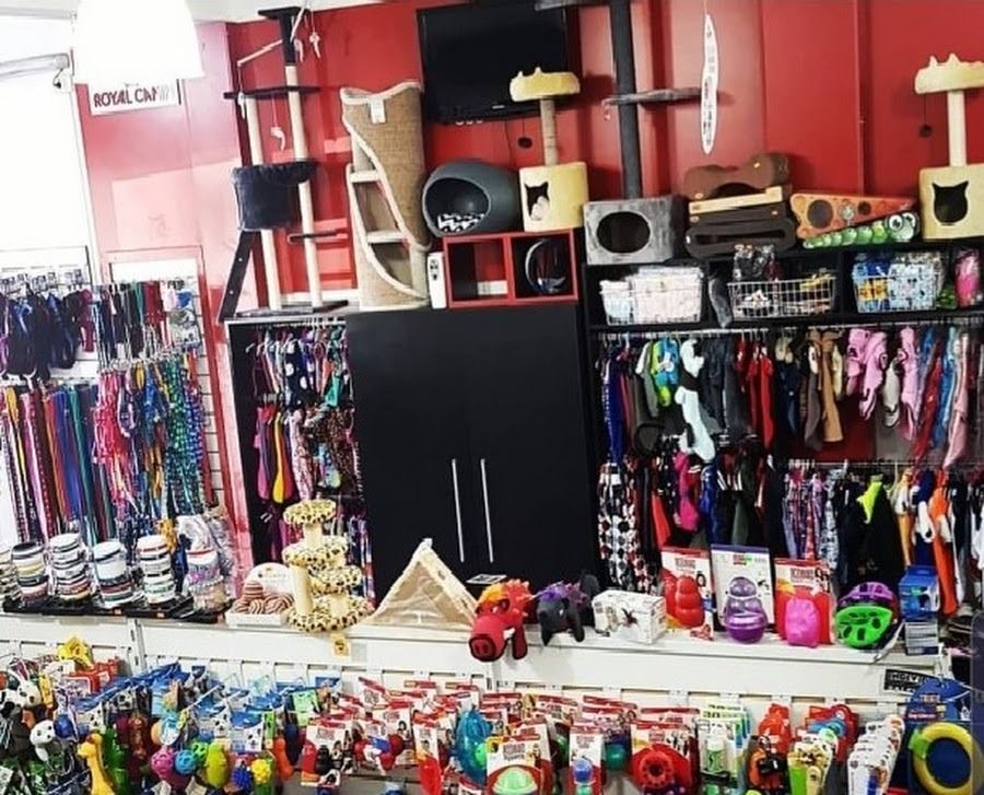 Exhibición colorida en una tienda con accesorios colgantes