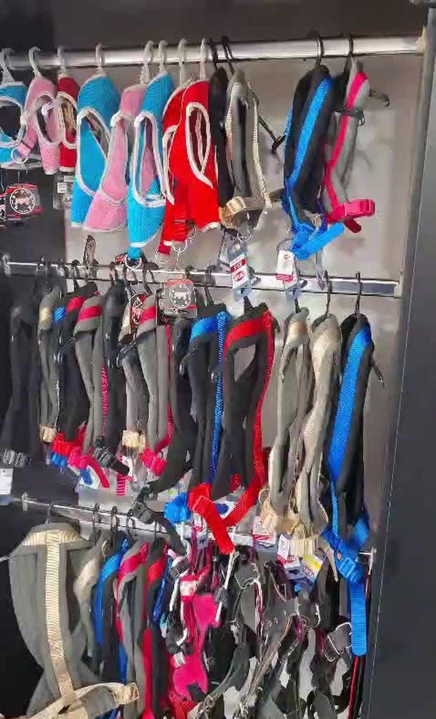 En una tienda, se ven filas de arneses y correas de colores para mascotas colgados en ganchos de exhibición.