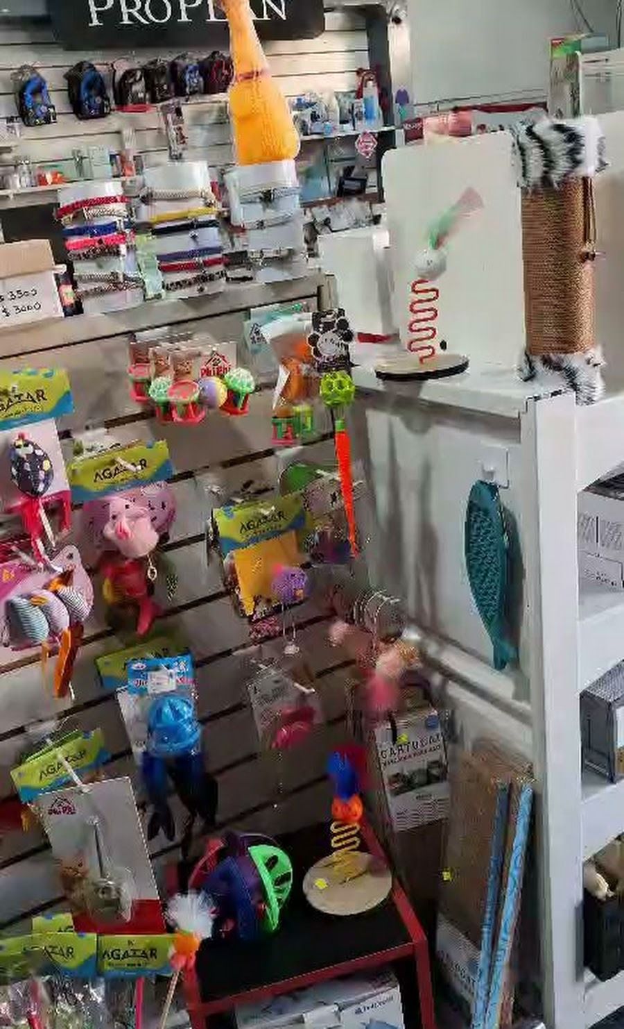 Un pasillo de tienda de mascotas abarrotado de coloridos juguetes para perros, correas y accesorios en los estantes.