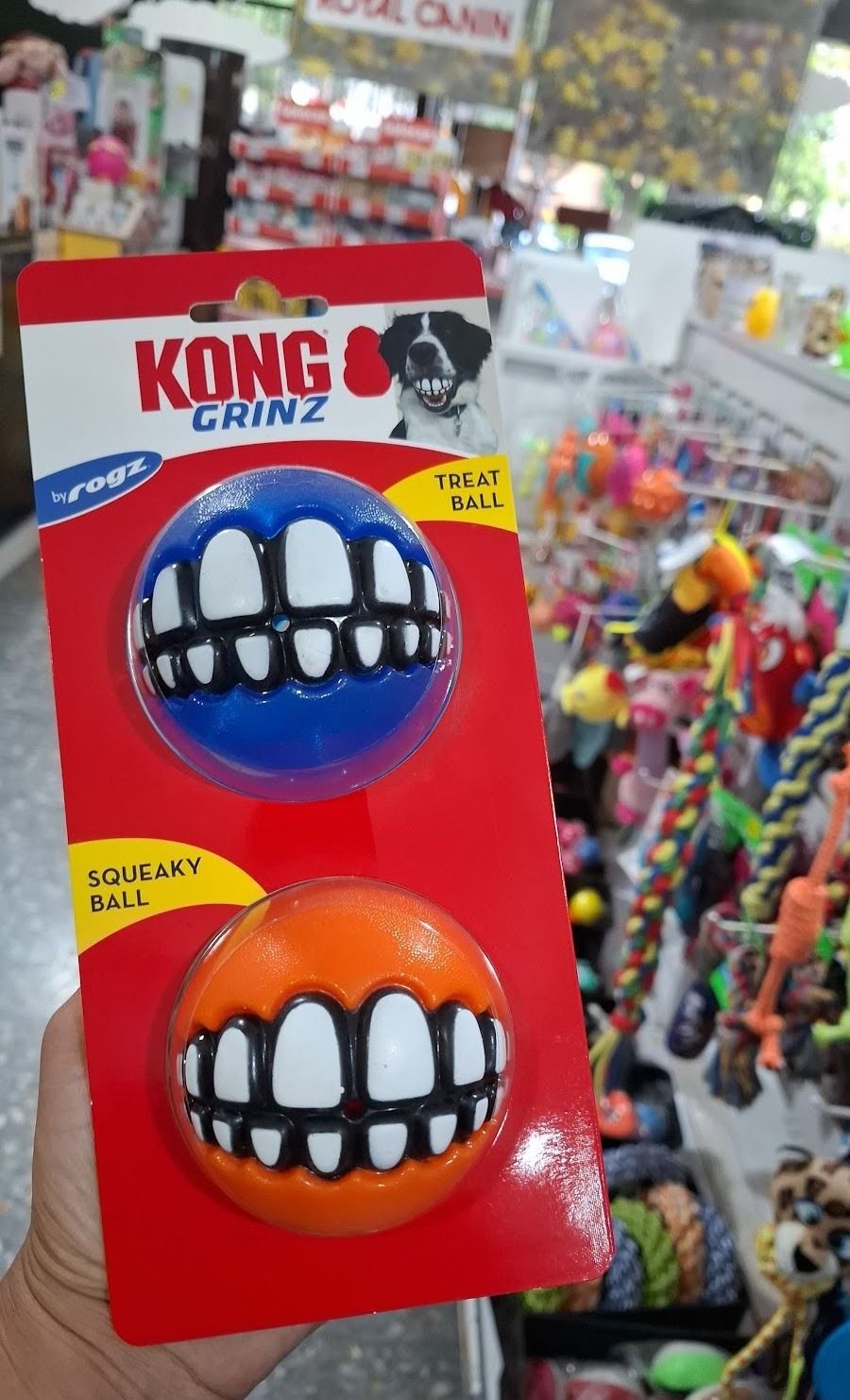 Paquete de dos coloridos juguetes dentales de novedad, azul y naranja, en una tarjeta roja en el escaparate de una tienda.