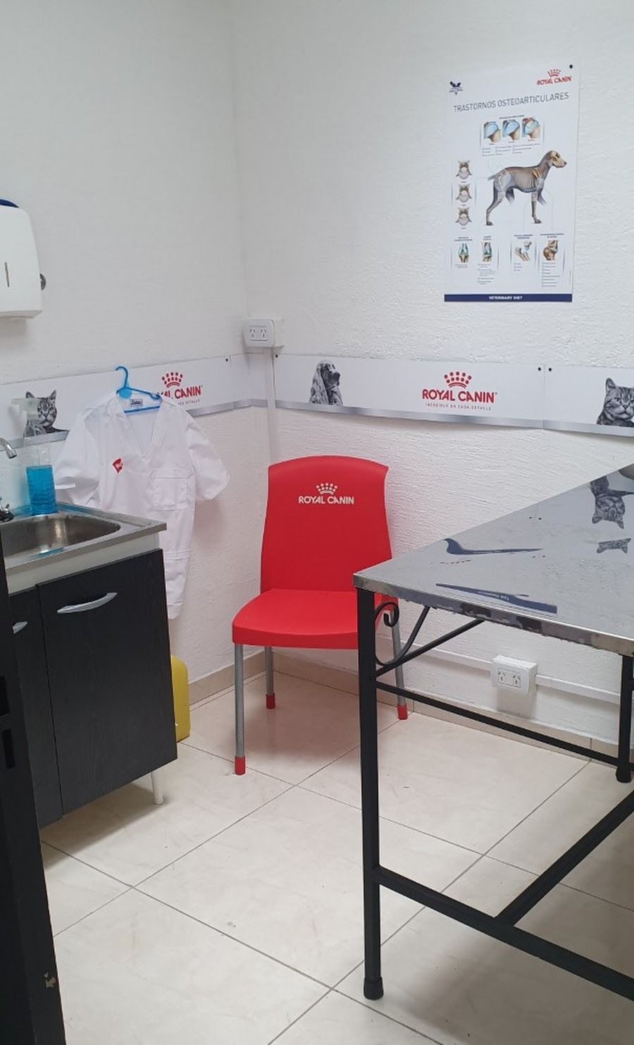 Pequeña sala de exploración con silla roja, camilla, lavabo y póster de anatomía en la pared.