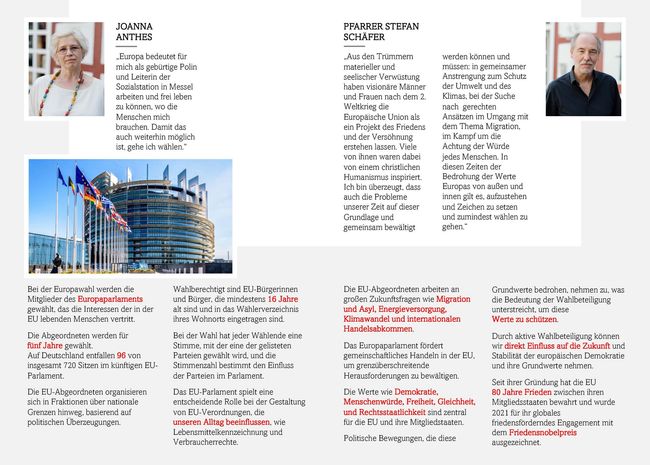idm europawahl