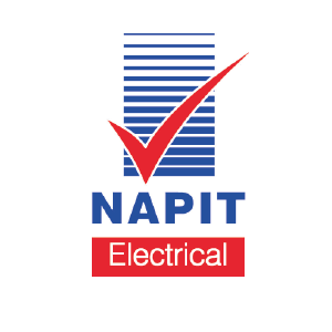 Npit logo