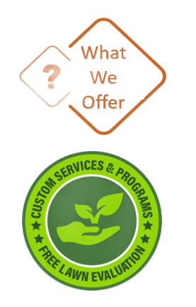 What We Offer graphic: Diamond with question mark; green circle with hand holding seedling, text