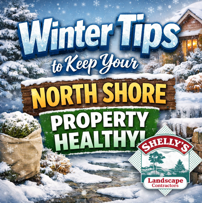 Winter-themed advertisement for